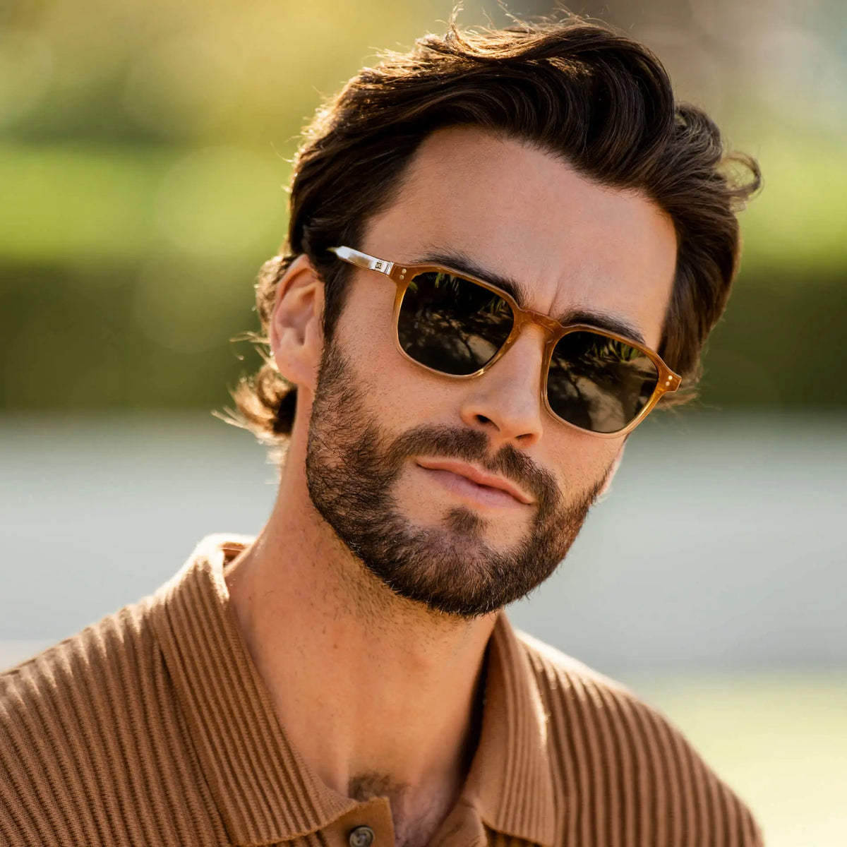 Francis | Polarizado