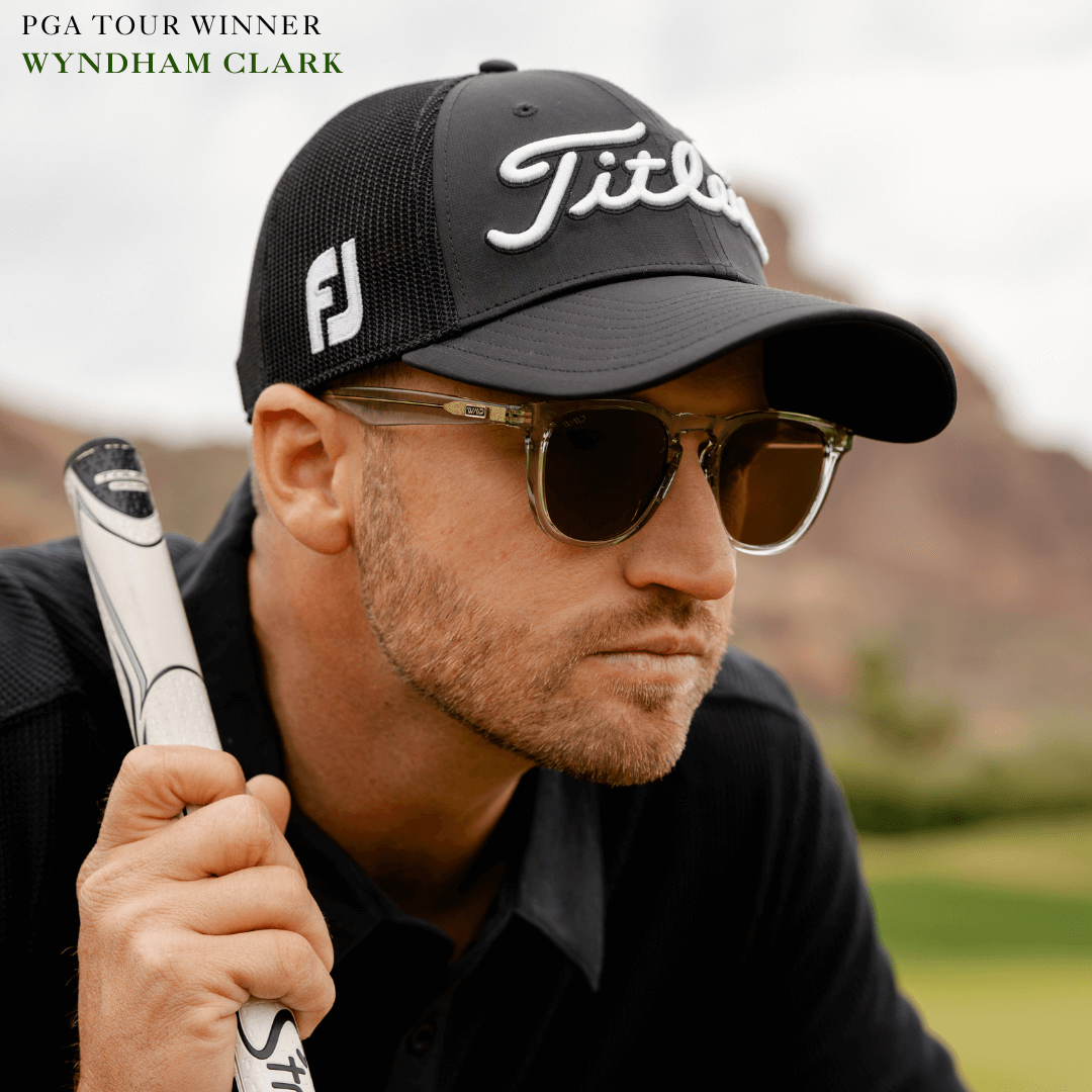 Wyndham | Polarizado