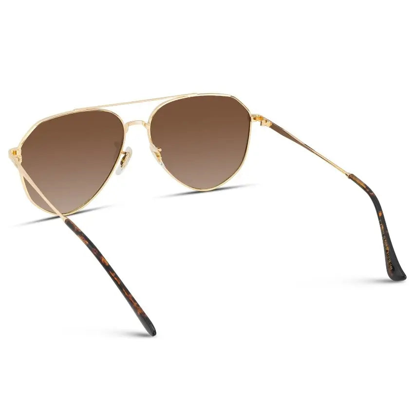 Ramsey Optics | Polarizadas
