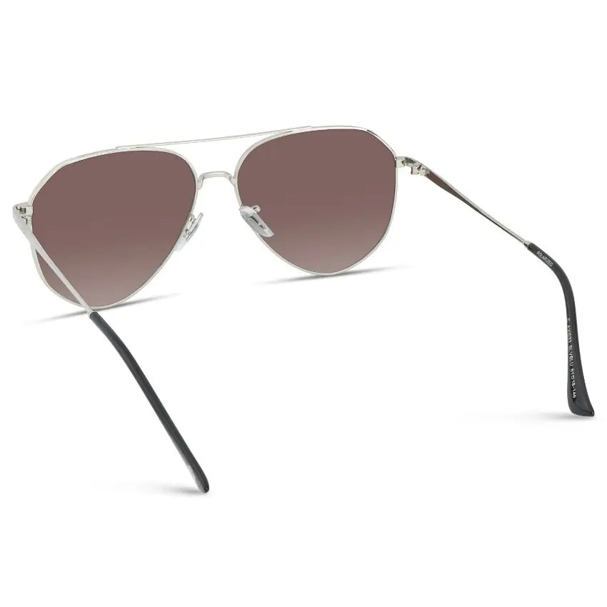 Ramsey Optics | Polarizadas