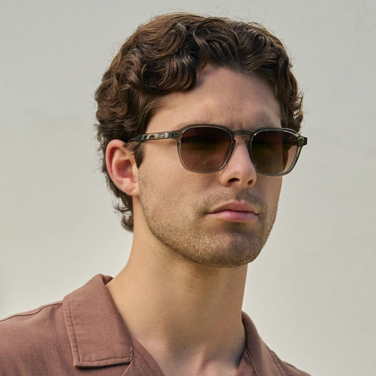 Francis | Polarizado